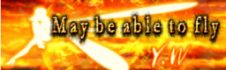 May be able to fly - banner