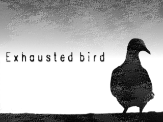 Exhausted bird [graphic]