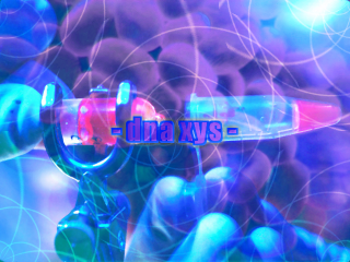 - dna xys - [graphic]